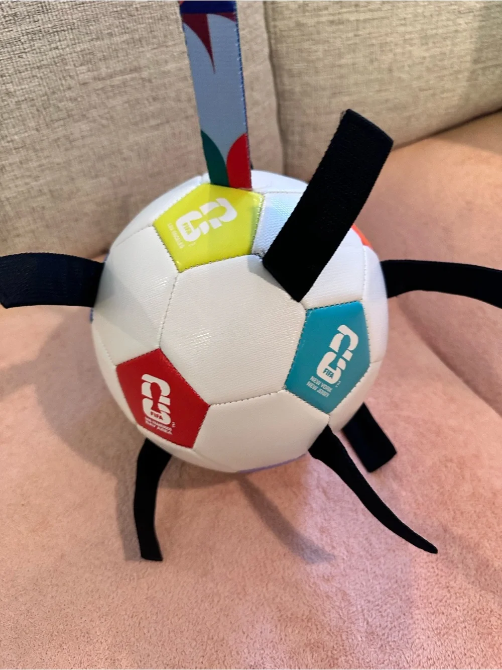 FIFA World Cup 2026 Soccer Ball Dog Toy Fetch and Fly Tabs Interactive Pet New